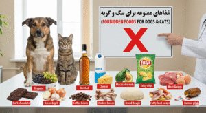 لیست کامل از 15 عدد از غذاهای خطرناک و ممنوعه برای گربه و سگ