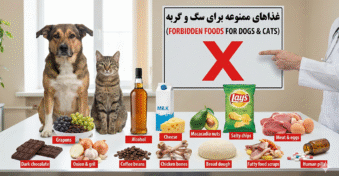 لیست کامل از 15 عدد از غذاهای خطرناک و ممنوعه برای گربه و سگ